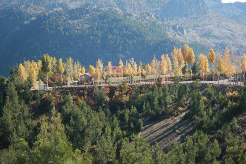St.Paul Yol Pansiyon كاسيملار المظهر الخارجي الصورة