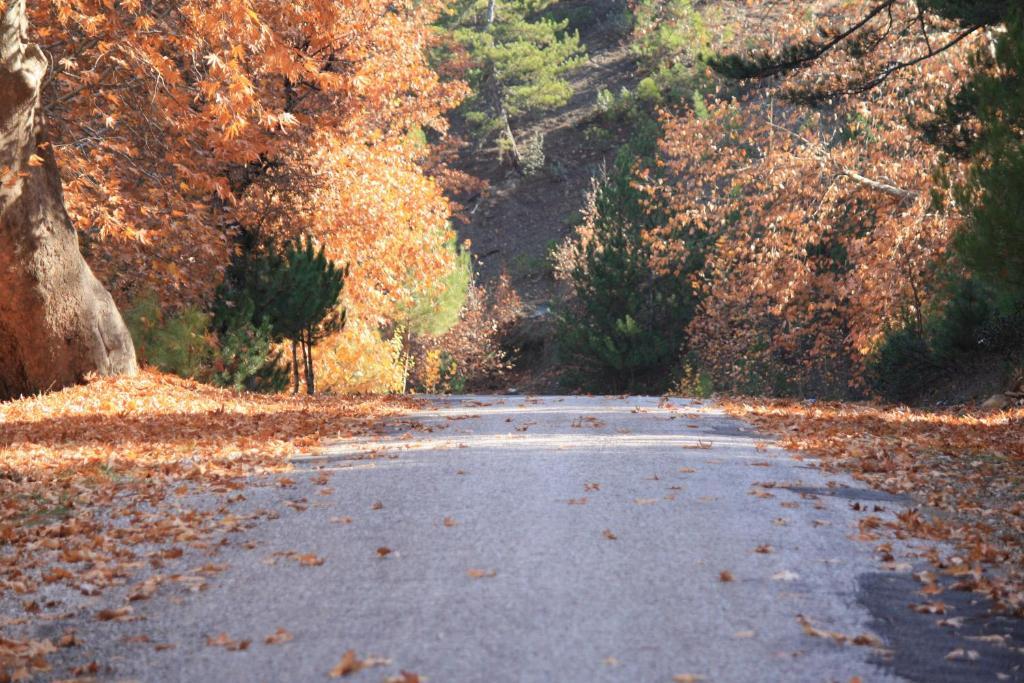 St.Paul Yol Pansiyon كاسيملار المظهر الخارجي الصورة